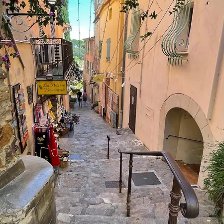 Les Mimosas Au Coeur Du Village Historique