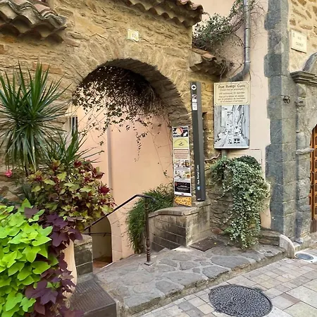 Les Mimosas Au Coeur Du Village Historique *