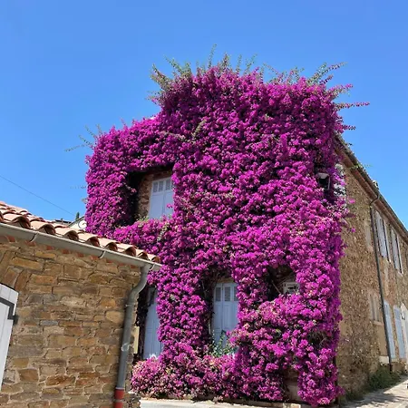 Les Mimosas Au Coeur Du Village Historique Apartment